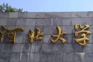 河北大学vpn,助力学子畅游网络世界，便捷学习生活