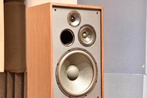 sonance音响,Sonance音响系统设计报告书概览