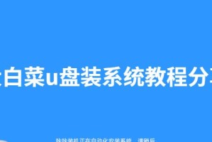 利用大白菜U盘重装系统（教你使用大白菜U盘轻松重装电脑系统）