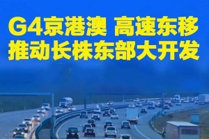 G4港版手机的功能与特点（探索G4港版手机的强大性能及独特之处）