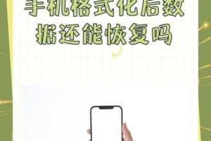 苹果手机格式化后如何恢复数据,备份与专业工具双重保障