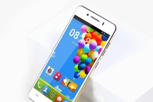 青葱x1m（打造居家绿色乐园，青葱x1m为你带来无限生机）