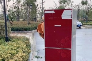 小熊冰箱连接电脑教程（轻松实现冰箱与电脑的智能互联）
