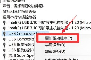 电脑信息显示控制器错误的原因和解决办法（解析电脑信息显示控制器错误的各种情况与应对方法）