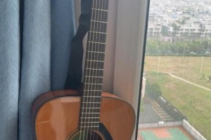 S6vn（从外观到性能，为你带来无尽惊喜）