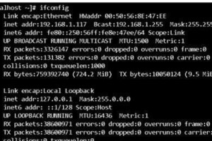 探索Linux操作系统的优势与特点（开源、稳定、灵活的Linux操作系统）