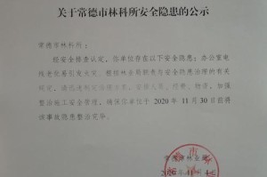 探索平安讯科的发展与前景（以安全技术创新为核心驱动力，打造数字化未来）