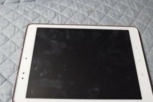 探究步步高x5pr0d的特点和性能（了解x5pr0d的关键特点及其在市场上的竞争优势）