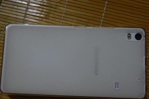 S8裸机的综合评测（一部旗舰手机的全面分析）