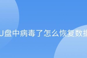 数据恢复病毒（了解数据恢复病毒的危害与防范方法）