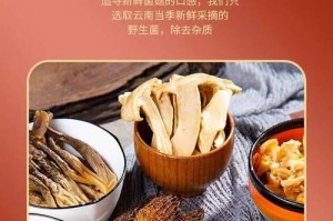 探究以卡卓手机的性能和用户体验（一部颇具竞争力的智能手机）