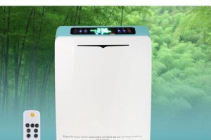 生存世界净化器（以科技创新为核心，打造绿色未来的必备设备）
