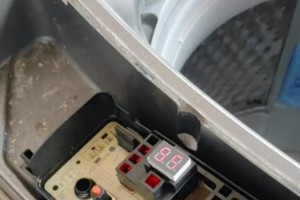 全面了解新星冰柜（冷冻效果超乎想象）