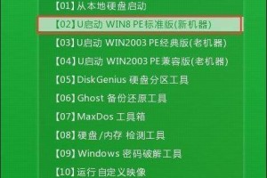 电脑使用PE安装系统的详细教程（通过PE工具快速安装系统，解决电脑故障和升级需求）