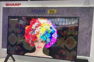 探索SDP面板的特点和应用领域（了解SDP面板的技术原理和未来发展趋势）