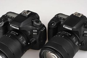 800D入门指南（以800D入门，掌握摄影的基础知识和技术）
