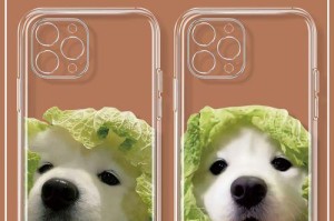 使用大白菜U盘启动iOS系统教程（通过简单操作，将iOS系统安装至U盘启动）