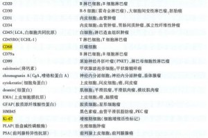 全面解读P53装机教程，助你轻松打造强悍电脑（P53装机教程，你需要知道的一切）