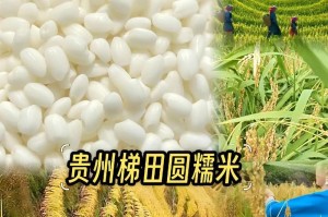 糯米金刚手机的特点及优势（一款耐用、性能出色的智能手机）