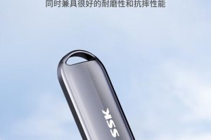 以飚王U盘牌子的优势和劣势（探究以飚王U盘牌子的性能与市场口碑）
