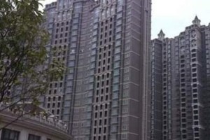酷派8707（体验极致流畅，尽在酷派8707）
