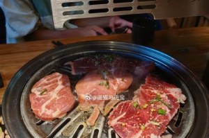漫猫手机M8（漫猫手机M8的功能与性能详解）