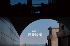 巧影色度吸取教程（掌握巧妙的色度吸取技巧，让你的影像更生动鲜明）