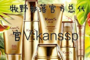 探索以韩束微商为主题的创业机会（揭示韩束微商的发展前景和成功案例）