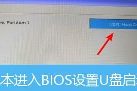 解决Dell无法启动U盘装系统的问题（详解Dell电脑无法从U盘启动的解决方案）