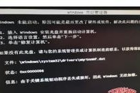 电脑无法加载PE系统显示错误的解决方法（解决电脑无法加载PE系统显示错误的实用技巧与建议）