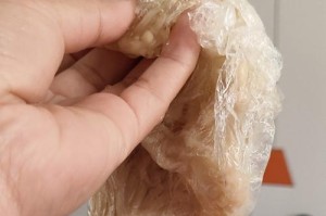 揭秘蘑菇的烂与否（探索蘑菇烂的特征及处理方法）