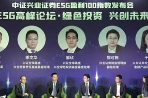 百发100指数（挖掘指数背后的创新力量和发展潜力）