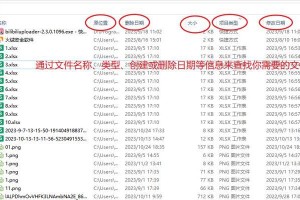如何恢复被误格式化的U盘文件（教你快速恢复误格式化的U盘数据，避免不必要的数据损失）